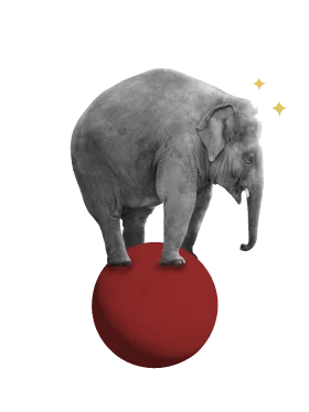 Elephant Malabarist